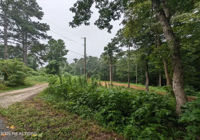 Homes for sale in Jamestown, TN | 248 N Norris St, Jamestown, TN 38556 | MLS# 3147247