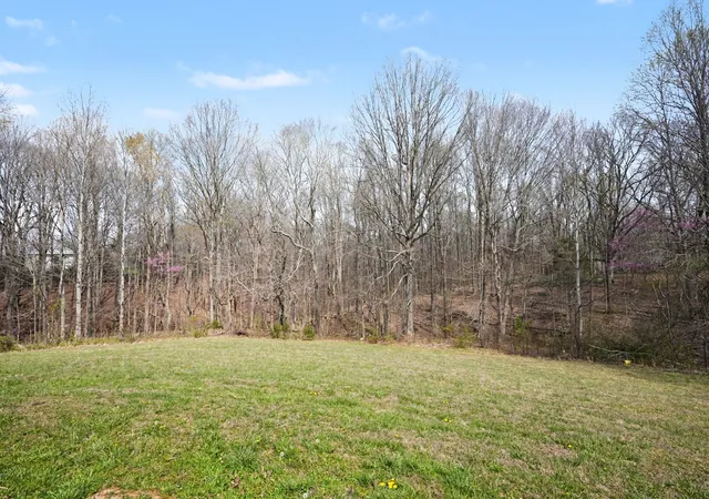 Homes for sale in Greenbrier, TN | 11948 Betts Rd, Greenbrier, TN 37073 | MLS# 3163611