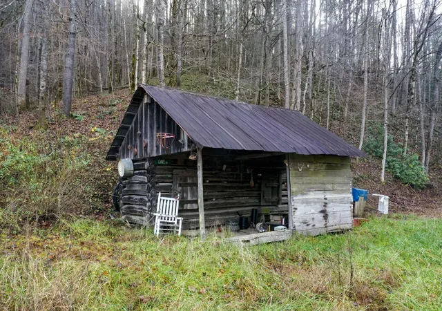 Homes for sale in Del Rio, TN | 709 Johns Creek Rd, Del Rio, TN 37727 | MLS# 3147998