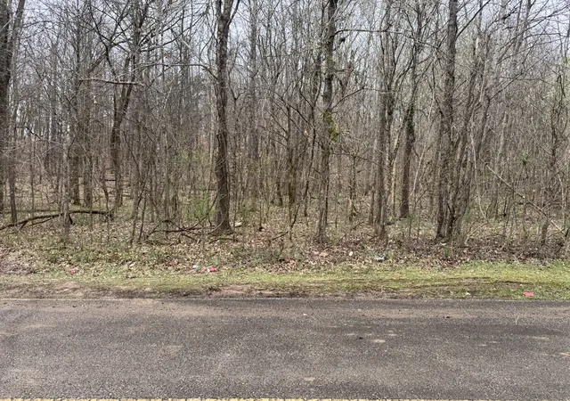 4th image of 0 Black Bass Trail, Charlotte, TN 37036 | MLS# 3148066