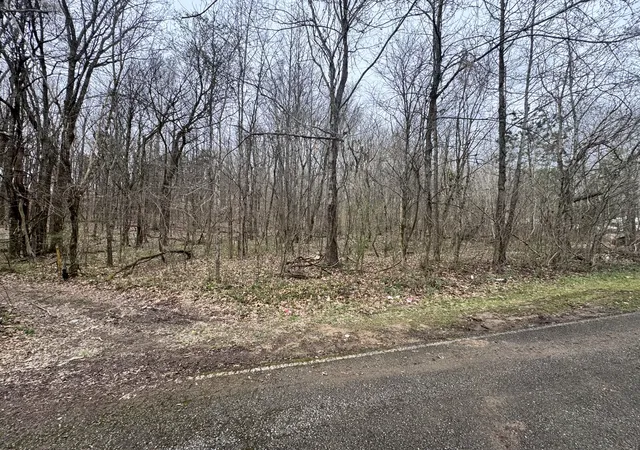 5th image of 0 Black Bass Trail, Charlotte, TN 37036 | MLS# 3148066