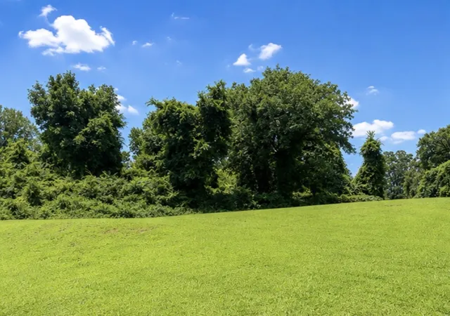 1st image of 0 4th Street, Monteagle, TN 37356 | MLS# 3147968