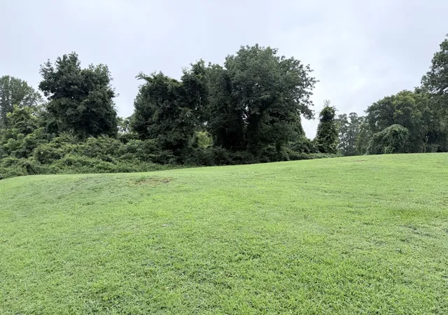 2nd image of 0 4th Street, Monteagle, TN 37356 | MLS# 3147968