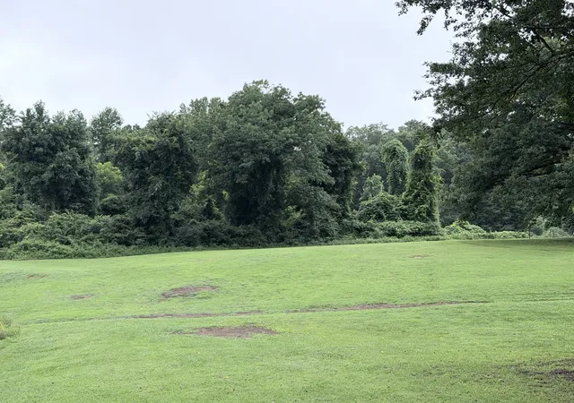 4th image of 0 4Th Street, Monteagle, TN 37356 | MLS# 3147968