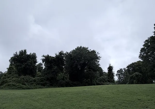 5th image of 0 4Th Street, Monteagle, TN 37356 | MLS# 3147968