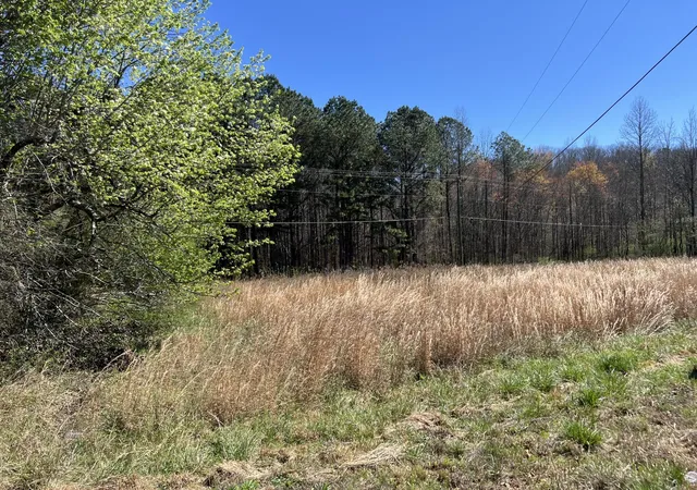 Homes for sale in Rocky Face, GA | 0 Utility Southwest Road, Rocky Face, GA 30740 | MLS# 3241973