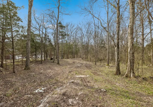 Homes for sale in Mount Juliet, TN | 191 Gwin Pl, Mount Juliet, TN 37122 | MLS# 3152885