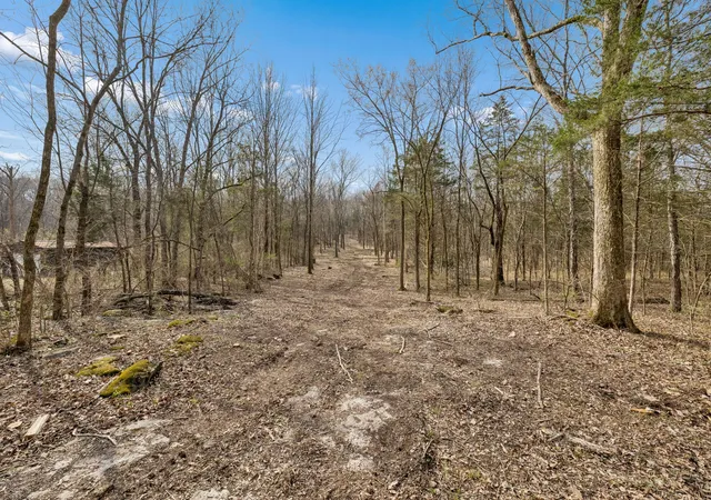 Homes for sale in Mount Juliet, TN | 191 Gwin Pl, Mount Juliet, TN 37122 | MLS# 3152885