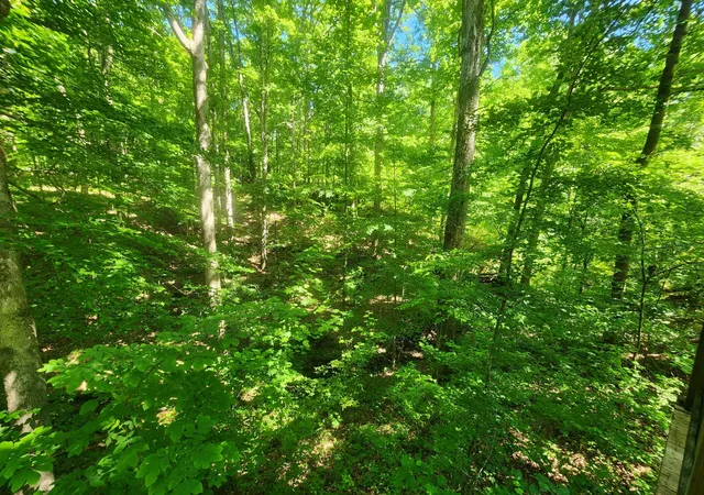 38th image of 932 Hayes Rd, Lawrenceburg, TN 38464 | MLS# 3148307