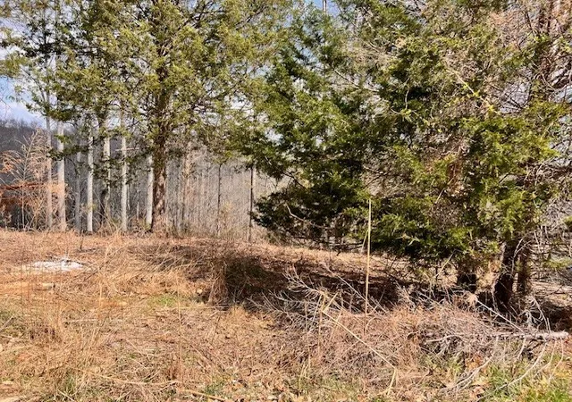Photo 4 of Land for sale at 0 Gennies Way, Lynchburg, TN 37352 | MLS# 3148508 | Listing updated on 2026-08-18