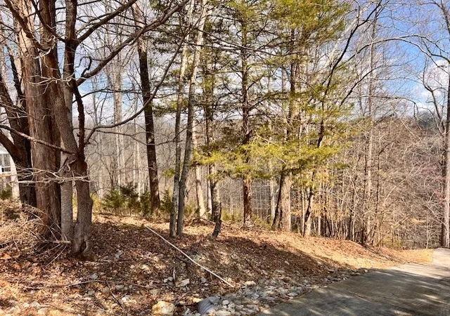 8th image of 0 Gennies Way, Lynchburg, TN 37352 | MLS# 3148508