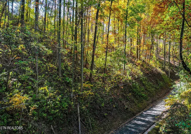 Photo 4 of Land for sale at 6 Emerald Springs Loop, Sevierville, TN 37862 | MLS# 3547873 | Listing updated on 2026-09-14