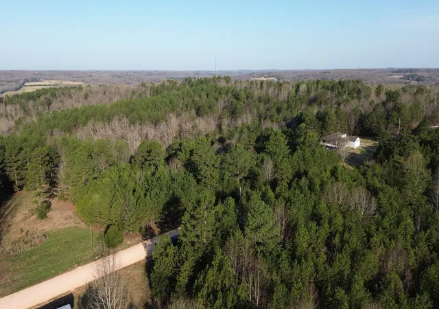 Homes for sale in Bath Springs, TN | 0 Bridge View Cv, Bath Springs, TN 38311 | MLS# 3164279