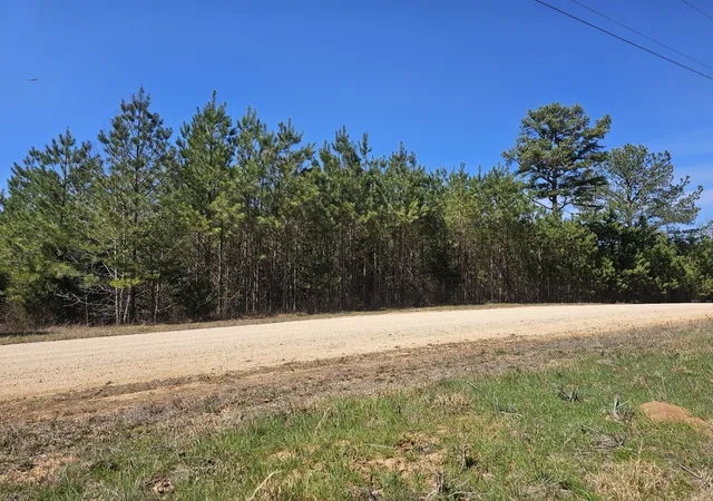 Homes for sale in Bath Springs, TN | 0 Bridge View Cv, Bath Springs, TN 38311 | MLS# 3164279
