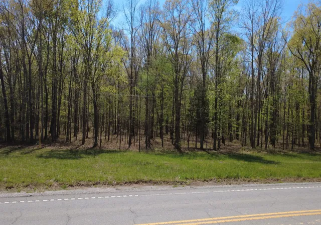 Homes for sale in Summertown, TN | 0 Summertown Hwy, Summertown, TN 38483 | MLS# 3149174