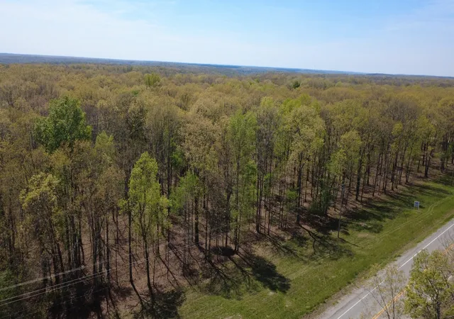 Homes for sale in Summertown, TN | 0 Summertown Hwy, Summertown, TN 38483 | MLS# 3149174