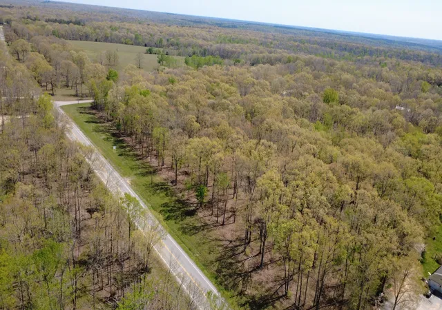 Homes for sale in Summertown, TN | 0 Summertown Hwy, Summertown, TN 38483 | MLS# 3149174