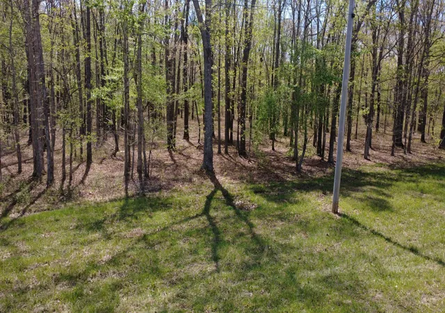 Homes for sale in Summertown, TN | 0 Summertown Hwy, Summertown, TN 38483 | MLS# 3149174