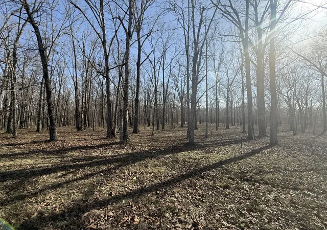 Homes for sale in Summertown, TN | 0 Summertown Hwy, Summertown, TN 38483 | MLS# 3149174