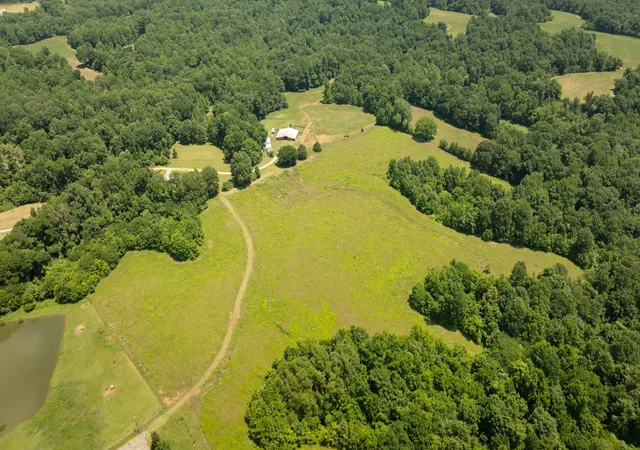 23rd image of 710 Porters Gap Rd, Ripley, TN 38063 | MLS# 3149488
