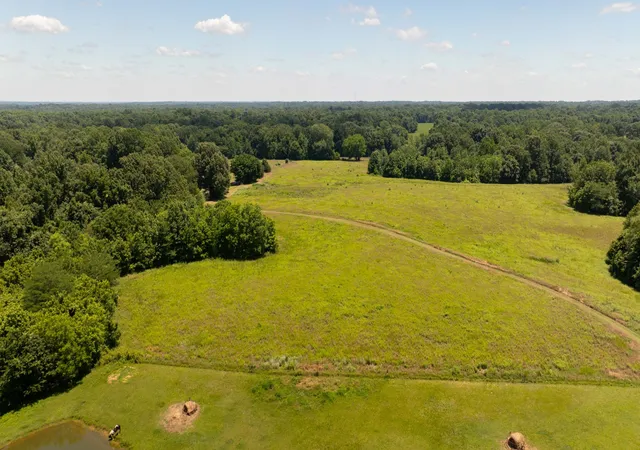 4th image of 710 Porters Gap Rd, Ripley, TN 38063 | MLS# 3149488