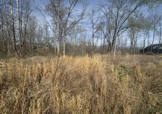 Photo 1 of Land for sale at 0 Ridgeway Dr, Smithville, TN 37166 | MLS# 3154938 | Listing updated on 2026-03-19