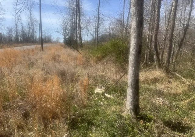 Photo 2 of Land for sale at 0 Ridgeway Dr, Smithville, TN 37166 | MLS# 3154938 | Listing updated on 2026-03-19