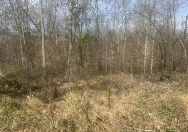 Photo 2 of Land for sale at 0 Ridgeway Dr, Smithville, TN 37166 | MLS# 3154938 | Listing updated on 2026-03-19