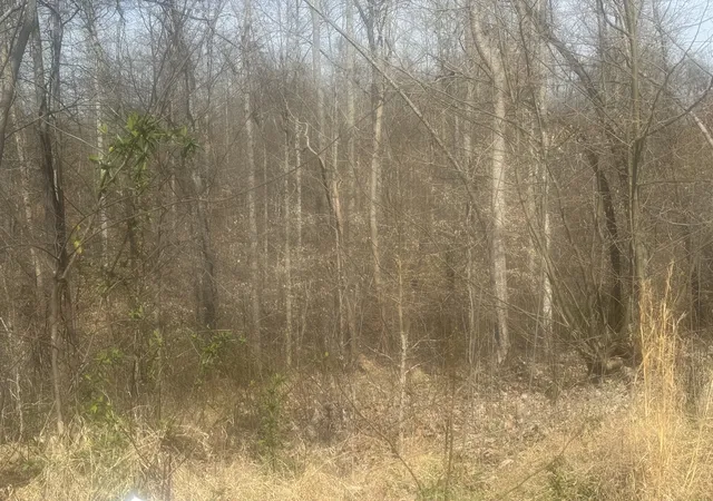 Photo 3 of Land for sale at 0 Ridgeway Dr, Smithville, TN 37166 | MLS# 3154938 | Listing updated on 2026-03-19