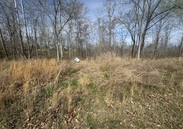 Photo 4 of Land for sale at 0 Ridgeway Dr, Smithville, TN 37166 | MLS# 3154938 | Listing updated on 2026-03-19