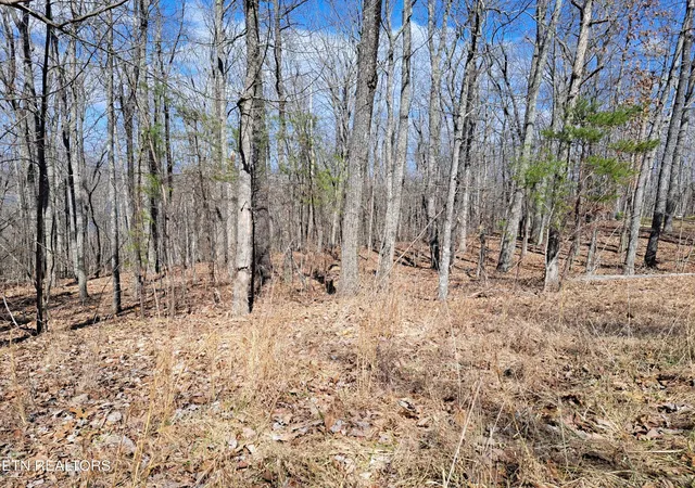 Photo 4 of Land for sale at 349 Rotherham Dr, Crossville, TN 38558 | MLS# 3149710 | Listing updated on 2026-06-12