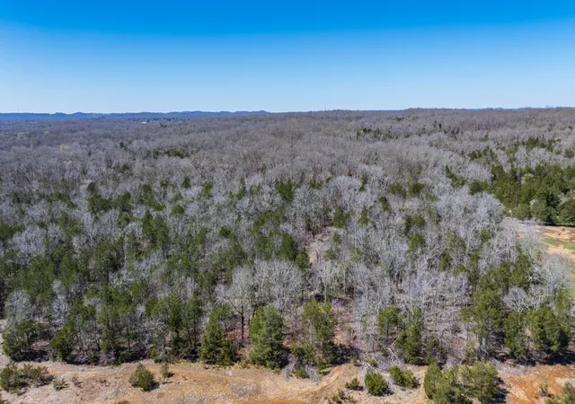 Photo 3 of Land for sale at 3562 Highway 431, Columbia, TN 38401 | MLS# 3152660 | Listing updated on 2026-06-23