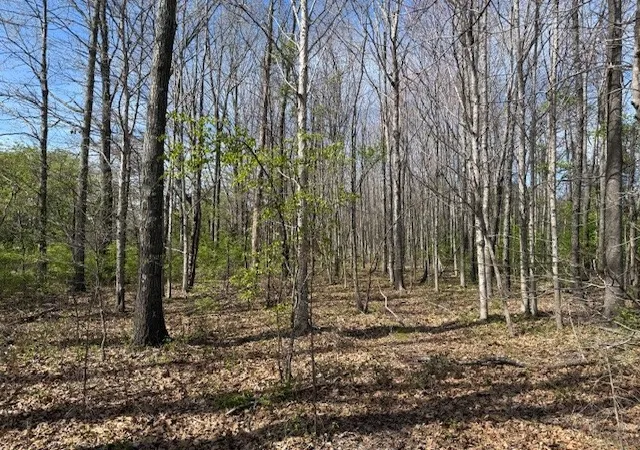 4th image of 0 Shellsford Rd, Mc Minnville, TN 37110 | MLS# 3150062