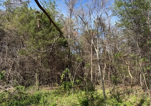 5th image of 0 Shellsford Rd, Mc Minnville, TN 37110 | MLS# 3150062