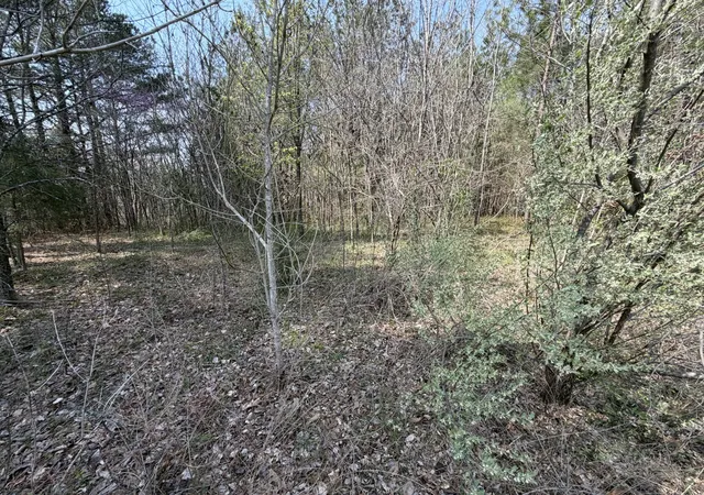 Photo 3 of Land for sale at 5106 Workman Rd, Southside, TN 37171 | MLS# 3155526 | Listing updated on 2026-09-30