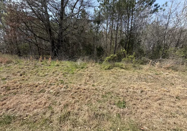 Photo 3 of Land for sale at 5106 Workman Rd, Southside, TN 37171 | MLS# 3155526 | Listing updated on 2026-09-30