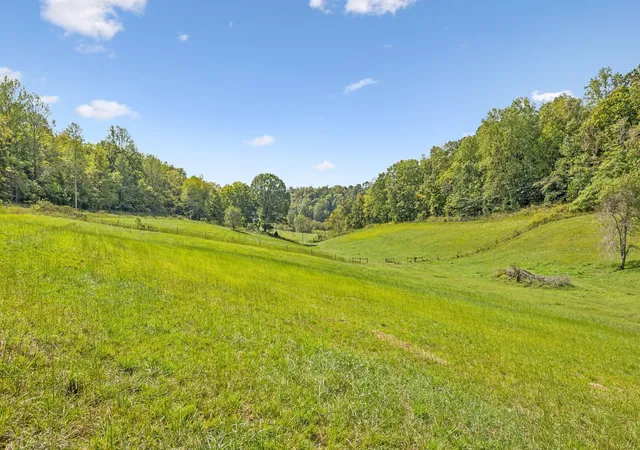 15th image of 0 Young Rd, Pulaski, TN 38478 | MLS# 3150373