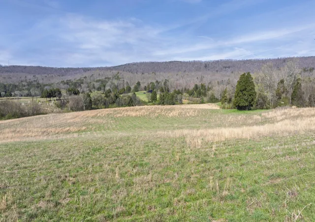 3rd image of 4637 Ideal Valley Road, Spring City, TN 37381 | MLS# 3304355