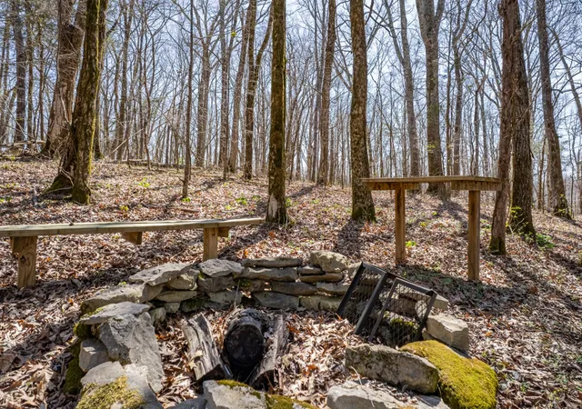Photo 72 of Land for sale at 4770 Delina Rd, Cornersville, TN 37047 | MLS# 3150377 | Listing updated on 2026-09-14