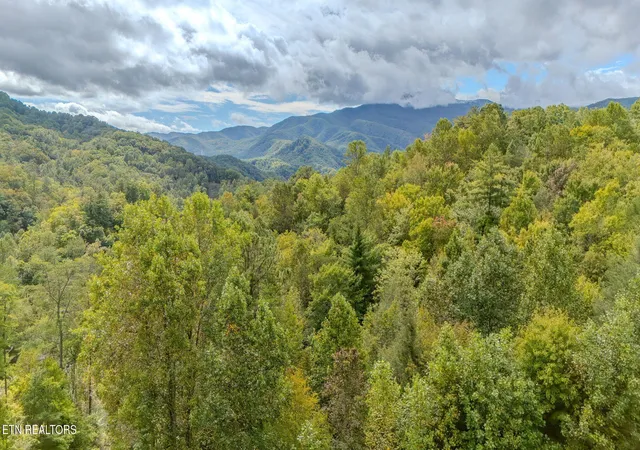 56th image of 4160 Green Corner Rd, Hartford, TN 37753 | MLS# 3278393