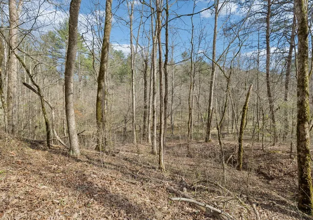 2nd image of 1489 Towee Pike, Reliance, TN 37369 | MLS# 3337236