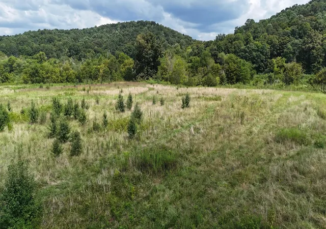 1st image of 0 County Road 60, Athens, TN 37303 | MLS# 3301801