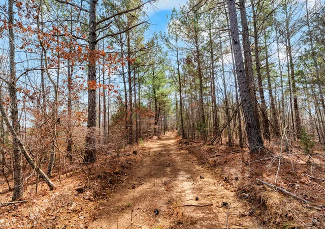 Photo 2 of Land for sale at 0 Jay Hutchings Rd, Sparta, TN 38583 | MLS# 3152751 | Listing updated on 2026-08-26