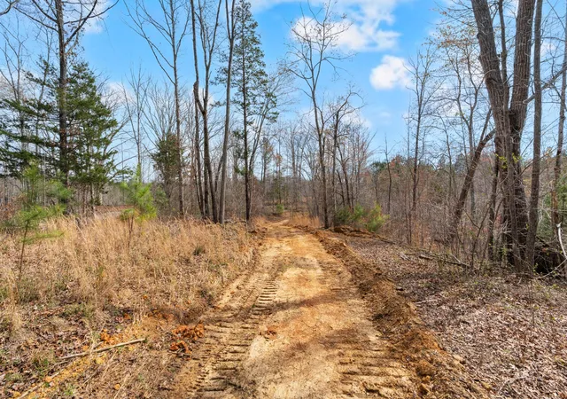Photo 3 of Land for sale at 0 Jay Hutchings Rd, Sparta, TN 38583 | MLS# 3152751 | Listing updated on 2026-08-26