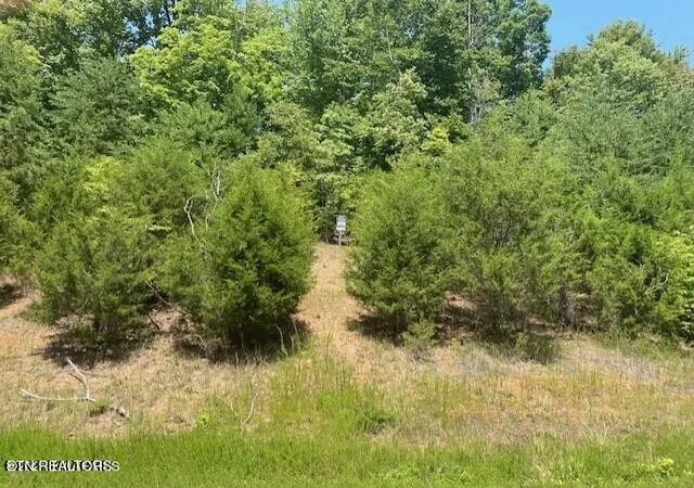 Photo 1 of Land for sale at 492 Citron Lane, New Tazewell, TN 37825 | MLS# 3528446 | Listing updated on 2026-09-21