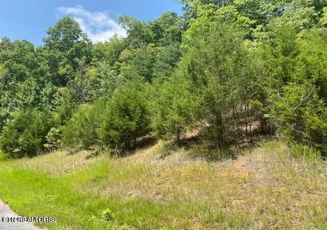 Photo 2 of Land for sale at 492 Citron Lane, New Tazewell, TN 37825 | MLS# 3528446 | Listing updated on 2026-09-21