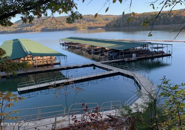 Photo 3 of Land for sale at 492 Citron Lane, New Tazewell, TN 37825 | MLS# 3528446 | Listing updated on 2026-09-21