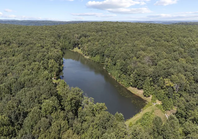 96th image of 824 Valley View Dr, Altamont, TN 37301 | MLS# 3516623