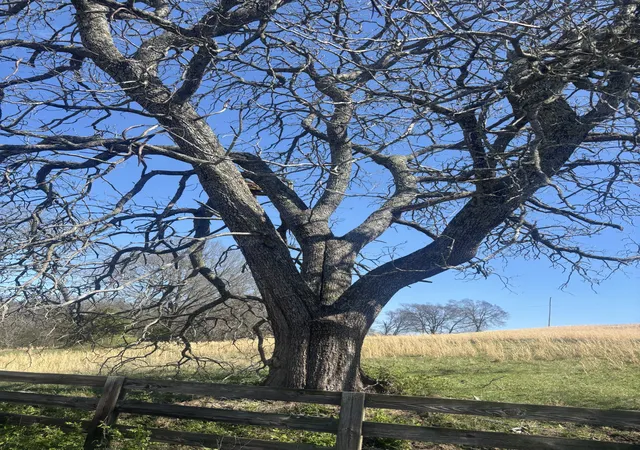 Photo 1 of Land for sale at 9849 Sam Donald Rd, Nolensville, TN 37135 | MLS# 3155078 | Listing updated on 2026-03-19
