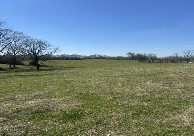 Photo 3 of House for sale at 9849 Sam Donald Rd, Nolensville, TN 37135 | MLS# 3155078 | Listing updated on 2026-03-19